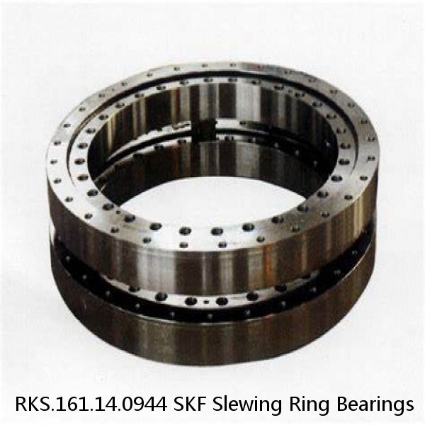 RKS.161.14.0944 SKF Slewing Ring Bearings #1 small image