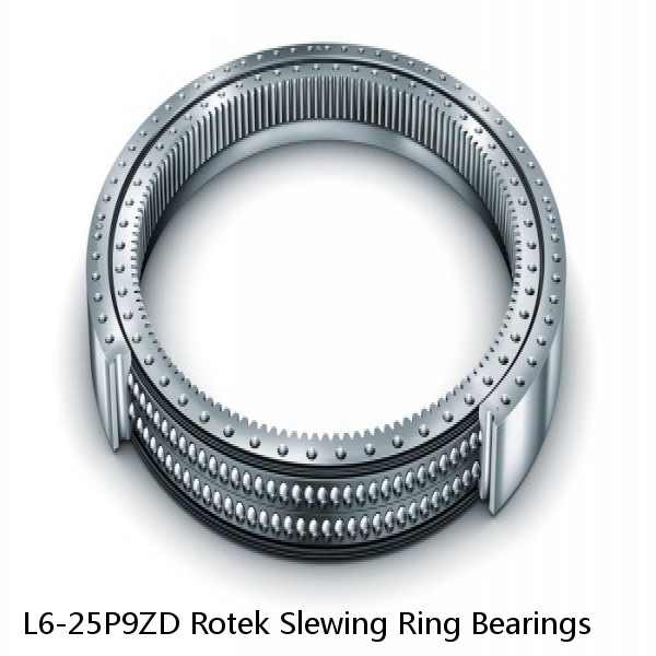 L6-25P9ZD Rotek Slewing Ring Bearings #1 small image