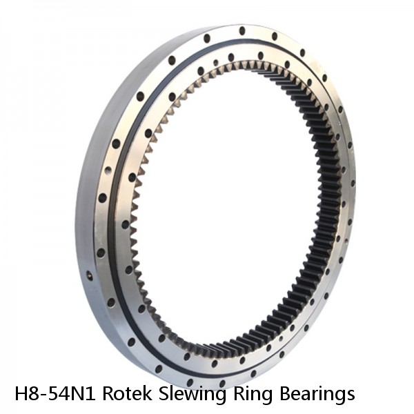 H8-54N1 Rotek Slewing Ring Bearings