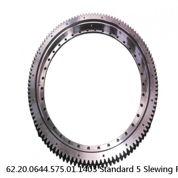 62.20.0644.575.01.1403 Standard 5 Slewing Ring Bearings #1 small image