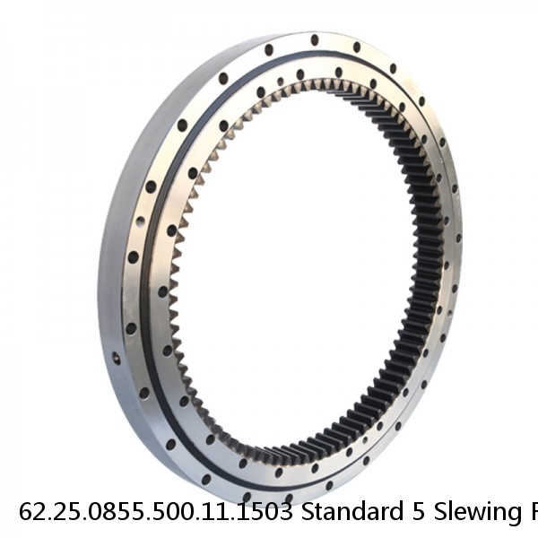 62.25.0855.500.11.1503 Standard 5 Slewing Ring Bearings #1 small image