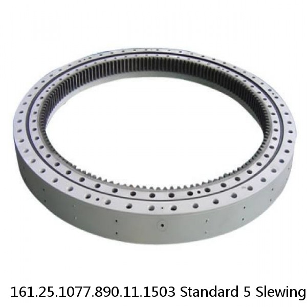 161.25.1077.890.11.1503 Standard 5 Slewing Ring Bearings #1 small image