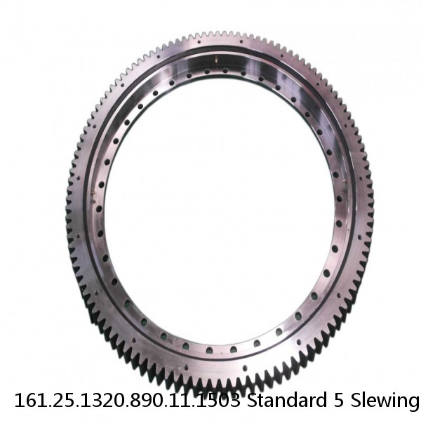 161.25.1320.890.11.1503 Standard 5 Slewing Ring Bearings #1 small image