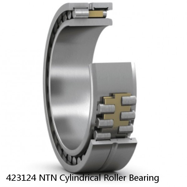 423124 NTN Cylindrical Roller Bearing #1 small image