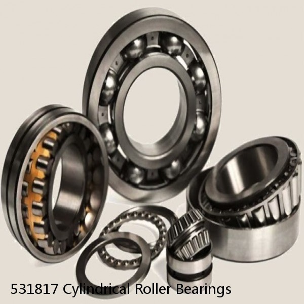 531817 Cylindrical Roller Bearings