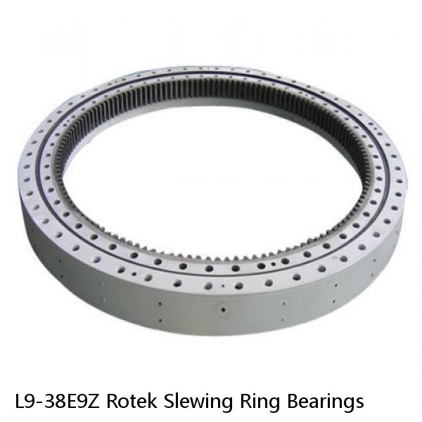 L9-38E9Z Rotek Slewing Ring Bearings #1 image