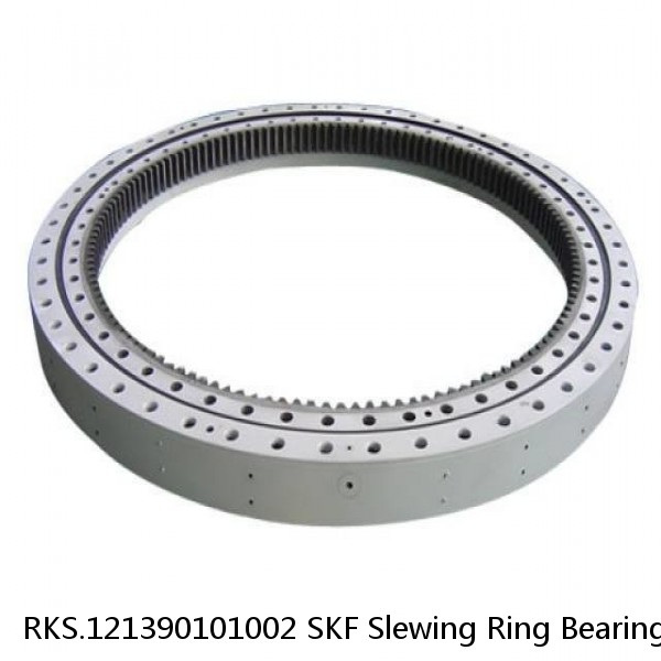 RKS.121390101002 SKF Slewing Ring Bearings #1 image