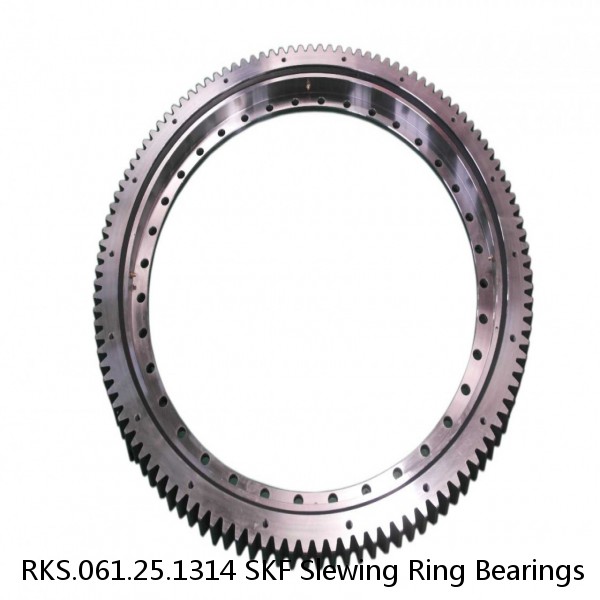 RKS.061.25.1314 SKF Slewing Ring Bearings #1 image