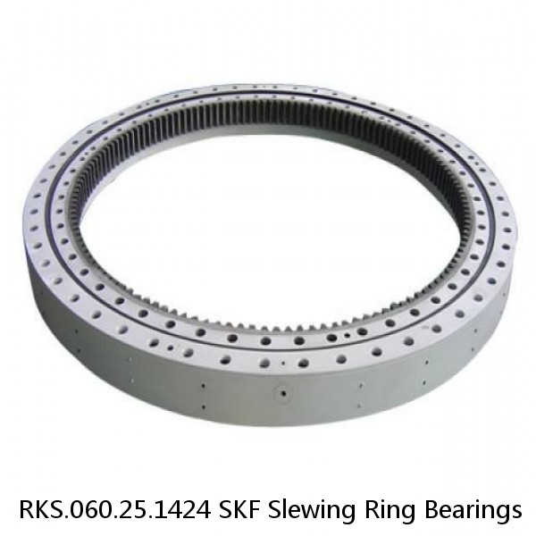 RKS.060.25.1424 SKF Slewing Ring Bearings #1 image