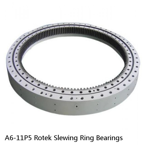 A6-11P5 Rotek Slewing Ring Bearings #1 image