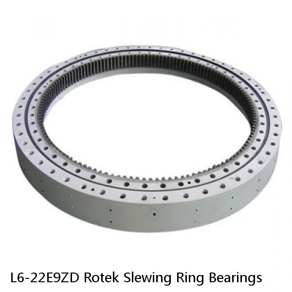 L6-22E9ZD Rotek Slewing Ring Bearings #1 image