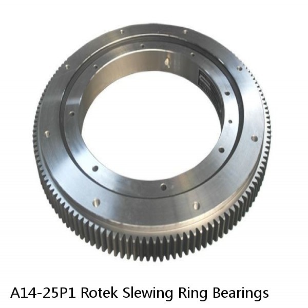 A14-25P1 Rotek Slewing Ring Bearings #1 image