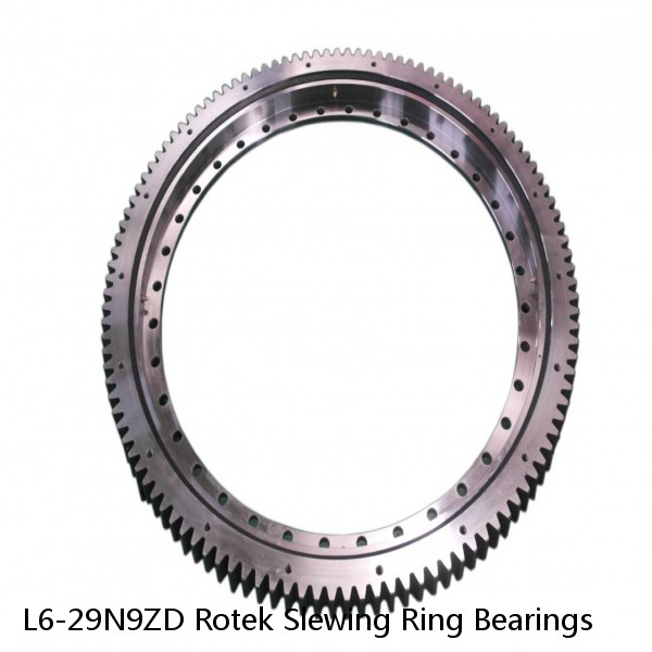 L6-29N9ZD Rotek Slewing Ring Bearings #1 image