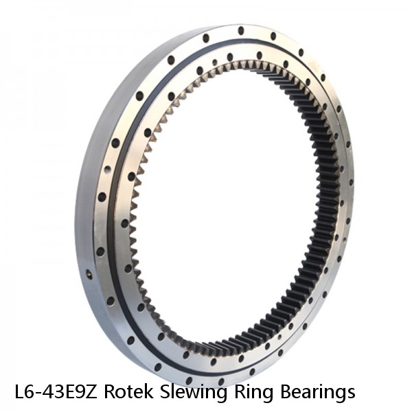 L6-43E9Z Rotek Slewing Ring Bearings #1 image