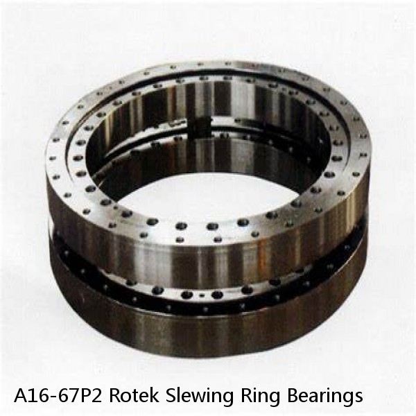 A16-67P2 Rotek Slewing Ring Bearings #1 image