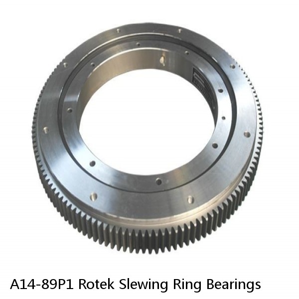 A14-89P1 Rotek Slewing Ring Bearings #1 image