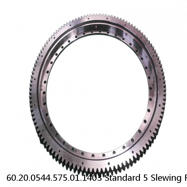 60.20.0544.575.01.1403 Standard 5 Slewing Ring Bearings #1 image