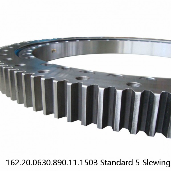 162.20.0630.890.11.1503 Standard 5 Slewing Ring Bearings #1 image