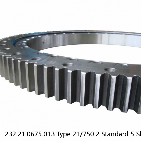 232.21.0675.013 Type 21/750.2 Standard 5 Slewing Ring Bearings #1 image