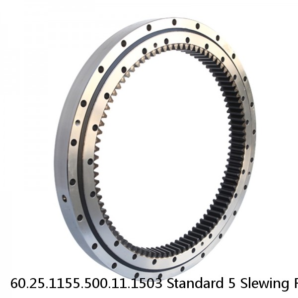 60.25.1155.500.11.1503 Standard 5 Slewing Ring Bearings #1 image